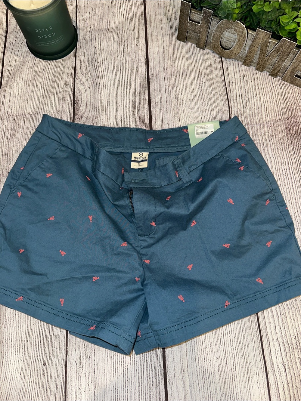 Teal Shorts with Pink Embroidery